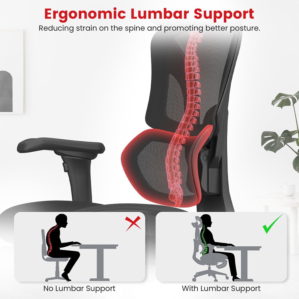 ACGAM CG-5658M Ergonomic Gaming Office Chair with 4D Adjustable Armrest, Lumbar Support, Adjustable Headrest