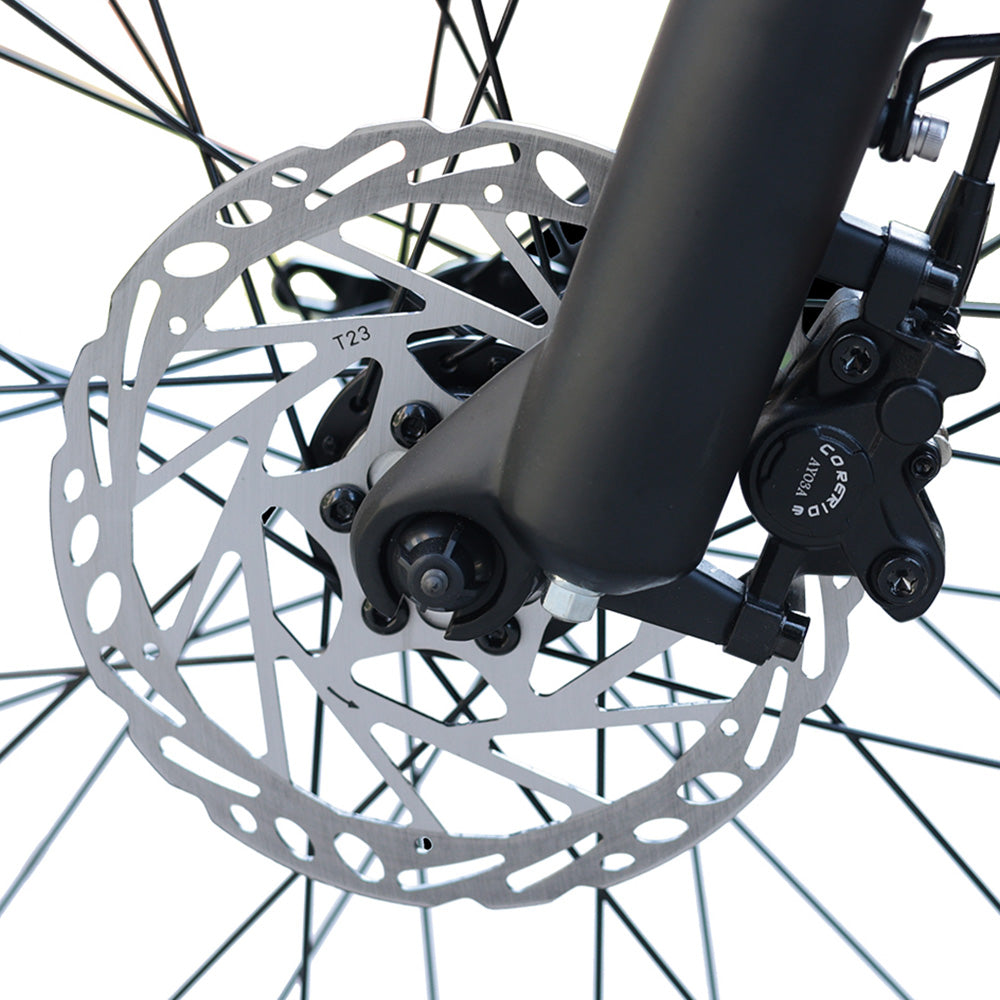Bezior XF006 Electric Bike, 1200W Motor, 48V 23.2Ah Battery, 20*4.0-inch Tire, 47km/h Max Speed, 100km Range, Hydraulic Oil Brakes, Spring Suspensions, Shimano 7-speed, LCD Display