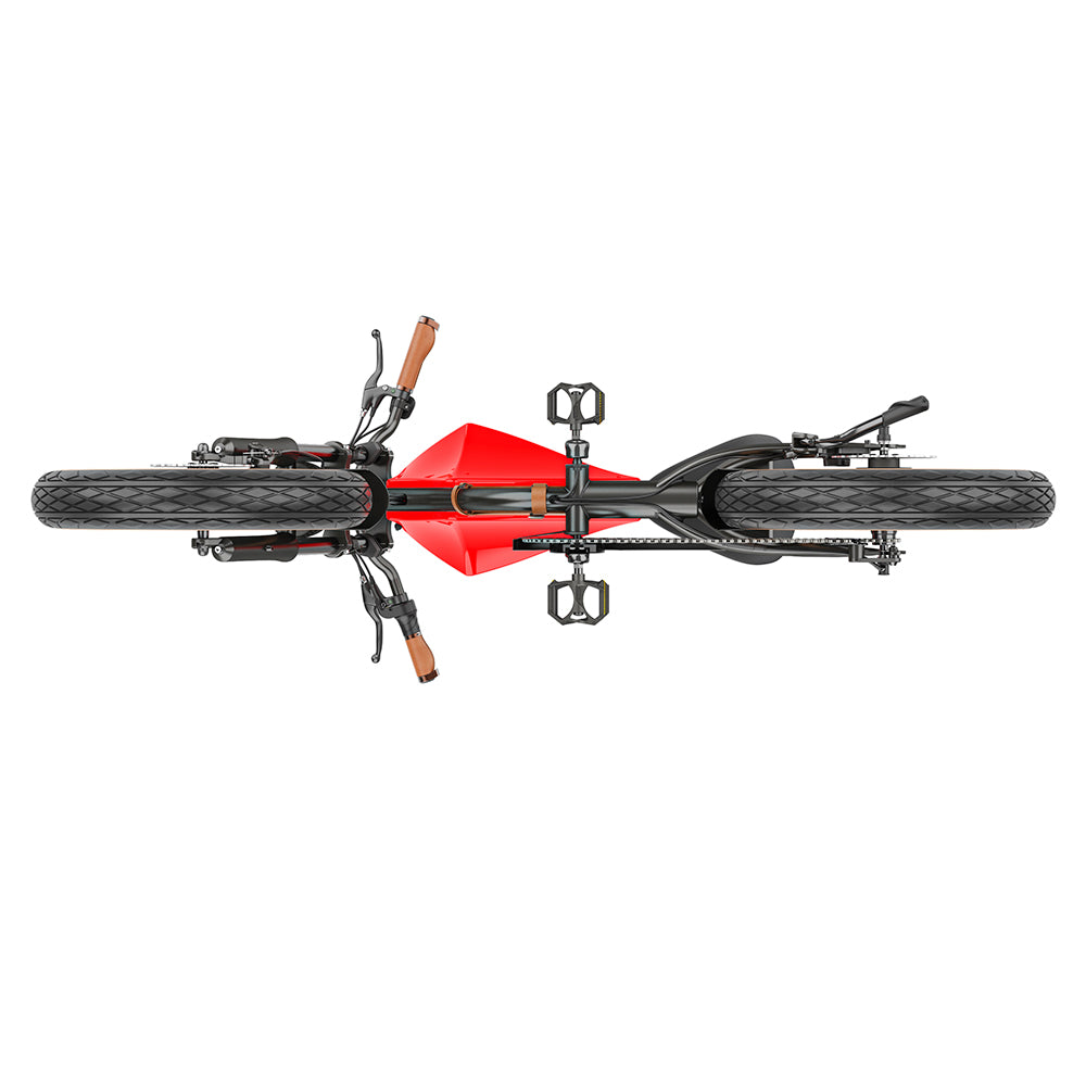 Hidoes B10 Electric Bike, 1000W Motor, 48V 13Ah Battery, 20 x4.0 inch Fat Tire, 45km/h Max Speed, 60km Range, Dual Mechanical Disc Brakes, Hydraulic Front Fork