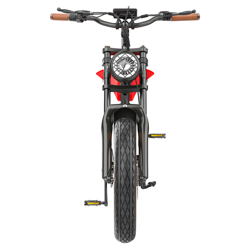 Hidoes B10 Electric Bike, 1000W Motor, 48V 13Ah Battery, 20 x4.0 inch Fat Tire, 45km/h Max Speed, 60km Range, Dual Mechanical Disc Brakes, Hydraulic Front Fork