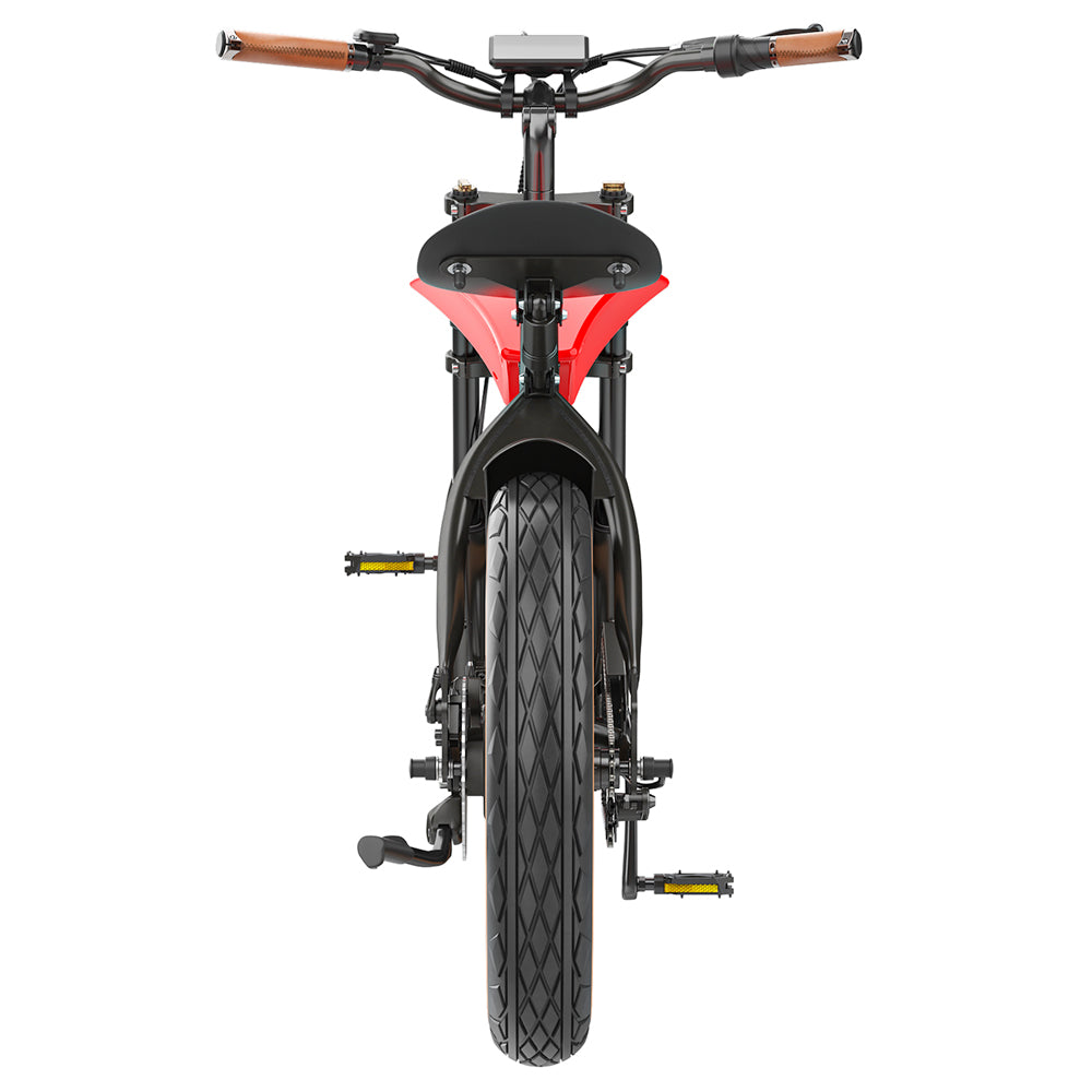 Hidoes B10 Electric Bike, 1000W Motor, 48V 13Ah Battery, 20 x4.0 inch Fat Tire, 45km/h Max Speed, 60km Range, Dual Mechanical Disc Brakes, Hydraulic Front Fork
