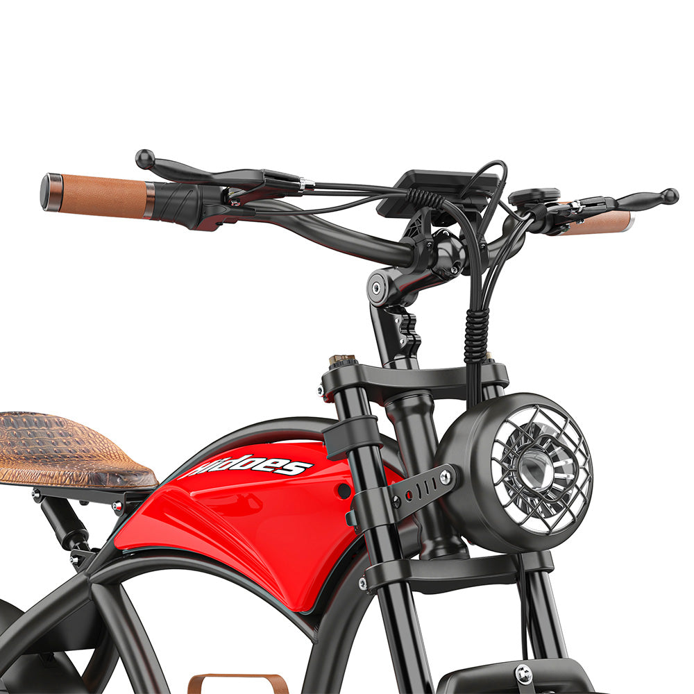 Hidoes B10 Electric Bike, 1000W Motor, 48V 13Ah Battery, 20 x4.0 inch Fat Tire, 45km/h Max Speed, 60km Range, Dual Mechanical Disc Brakes, Hydraulic Front Fork