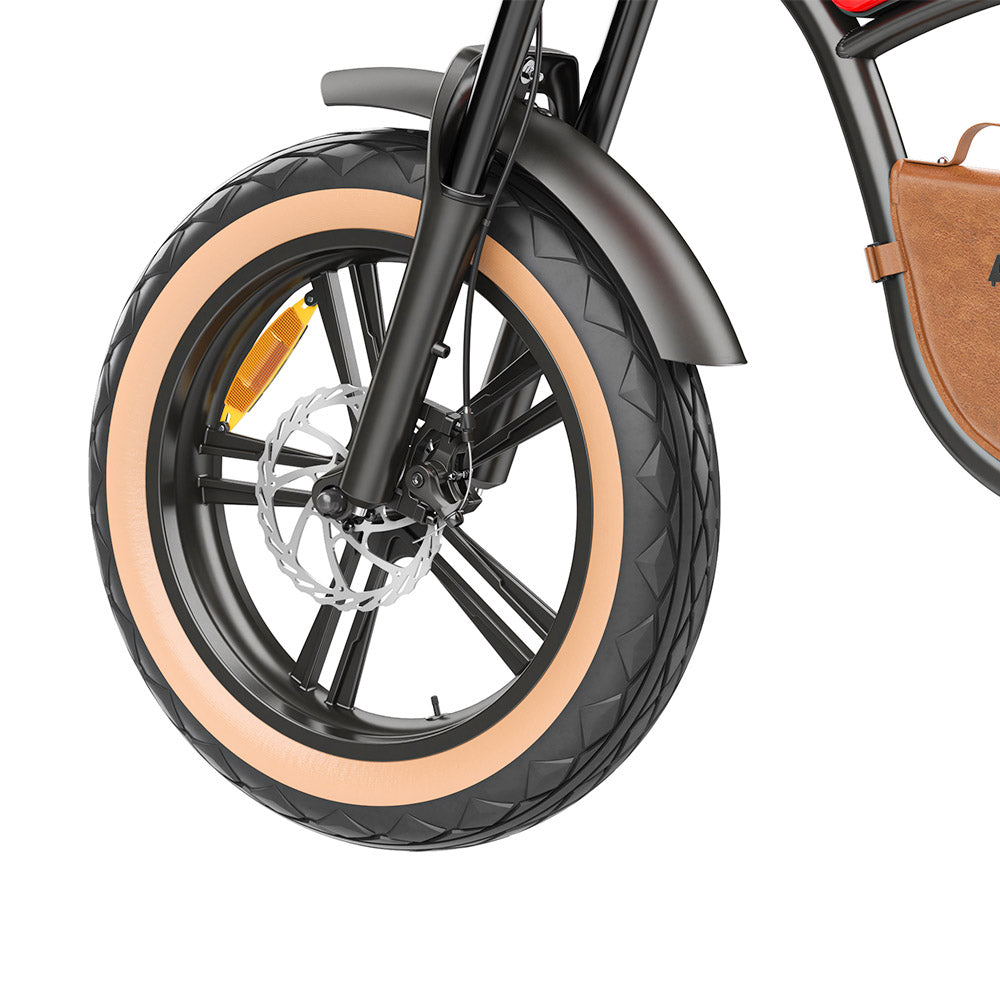 Hidoes B10 Electric Bike, 1000W Motor, 48V 13Ah Battery, 20 x4.0 inch Fat Tire, 45km/h Max Speed, 60km Range, Dual Mechanical Disc Brakes, Hydraulic Front Fork