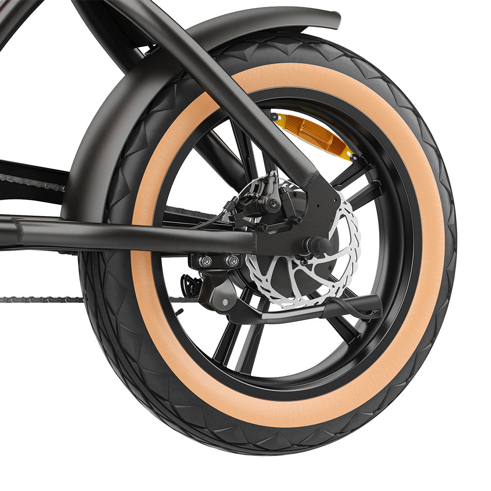 Hidoes B10 Electric Bike, 1000W Motor, 48V 13Ah Battery, 20 x4.0 inch Fat Tire, 45km/h Max Speed, 60km Range, Dual Mechanical Disc Brakes, Hydraulic Front Fork