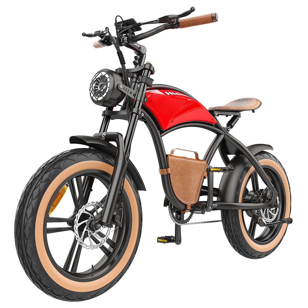 Hidoes B10 Electric Bike, 1000W Motor, 48V 13Ah Battery, 20 x4.0 inch Fat Tire, 45km/h Max Speed, 60km Range, Dual Mechanical Disc Brakes, Hydraulic Front Fork