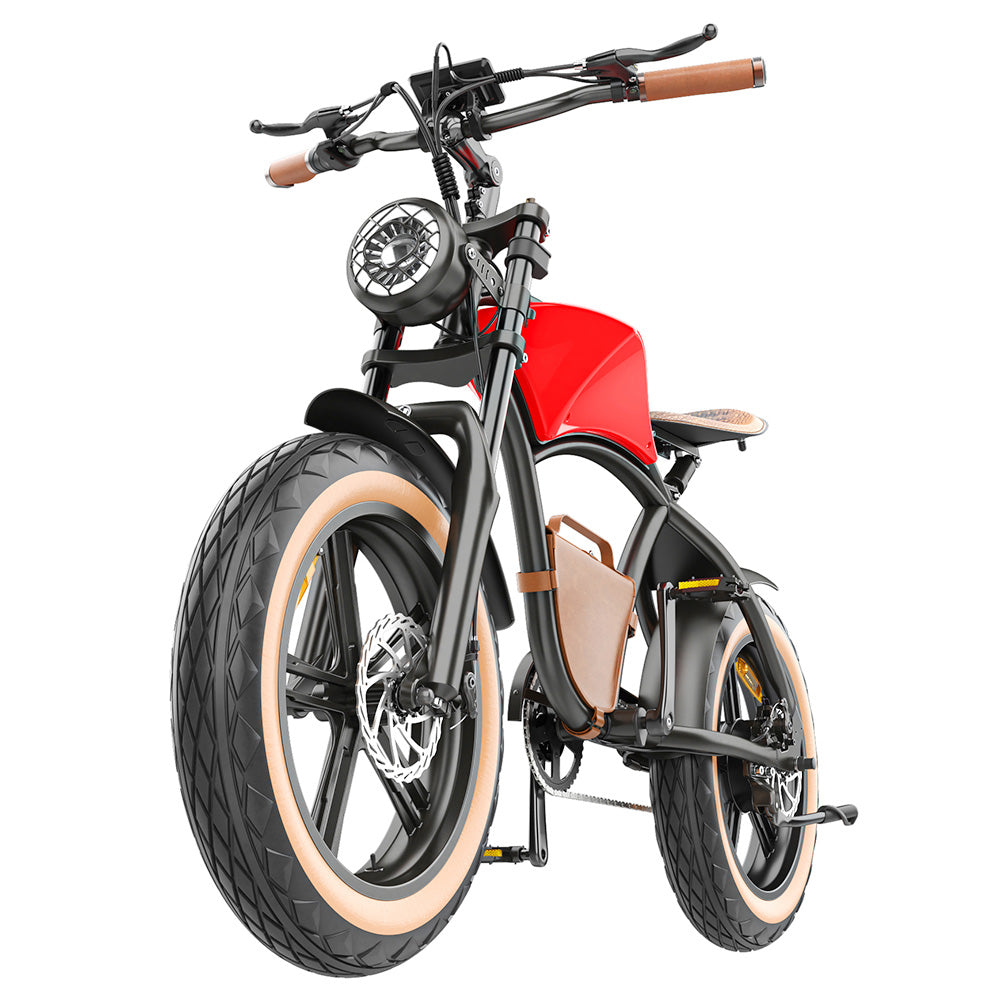 Hidoes B10 Electric Bike, 1000W Motor, 48V 13Ah Battery, 20 x4.0 inch Fat Tire, 45km/h Max Speed, 60km Range, Dual Mechanical Disc Brakes, Hydraulic Front Fork