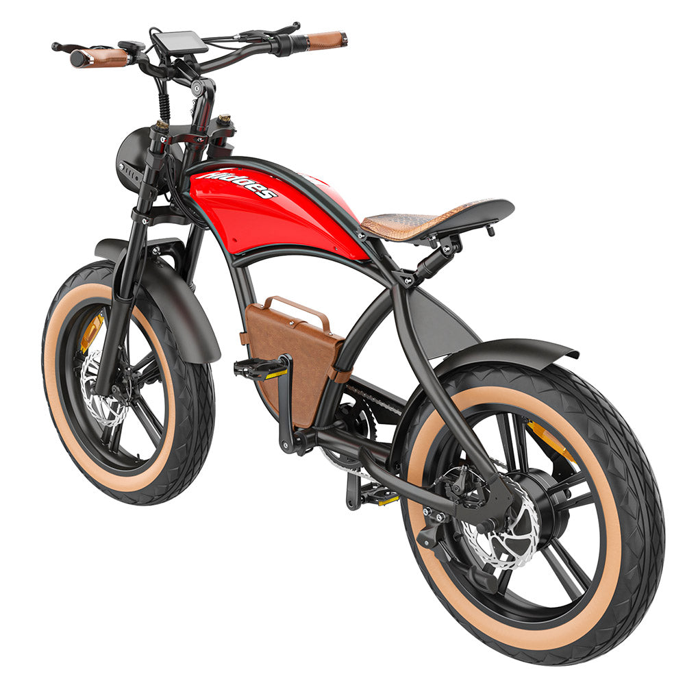 Hidoes B10 Electric Bike, 1000W Motor, 48V 13Ah Battery, 20 x4.0 inch Fat Tire, 45km/h Max Speed, 60km Range, Dual Mechanical Disc Brakes, Hydraulic Front Fork