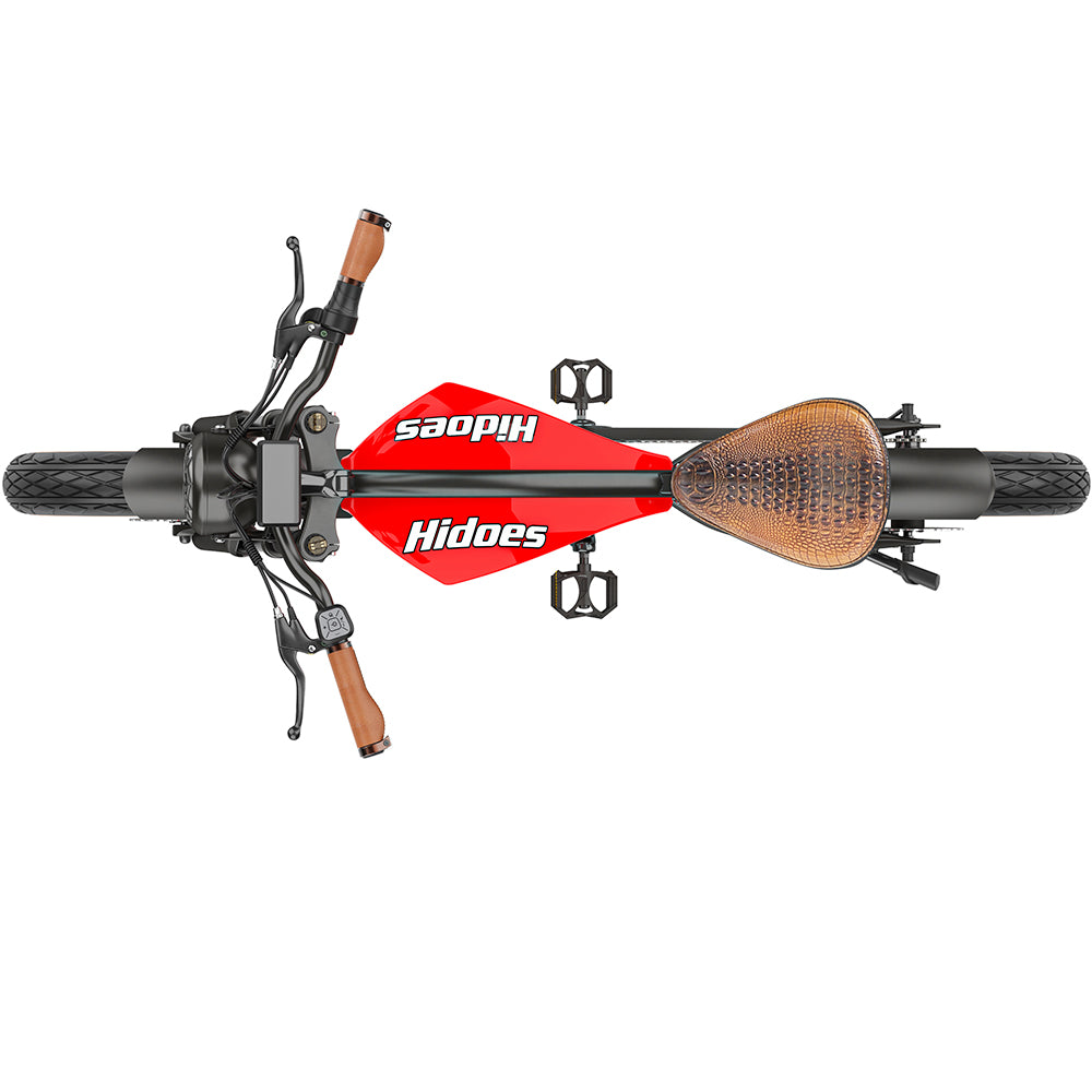 Hidoes B10 Electric Bike, 1000W Motor, 48V 13Ah Battery, 20 x4.0 inch Fat Tire, 45km/h Max Speed, 60km Range, Dual Mechanical Disc Brakes, Hydraulic Front Fork