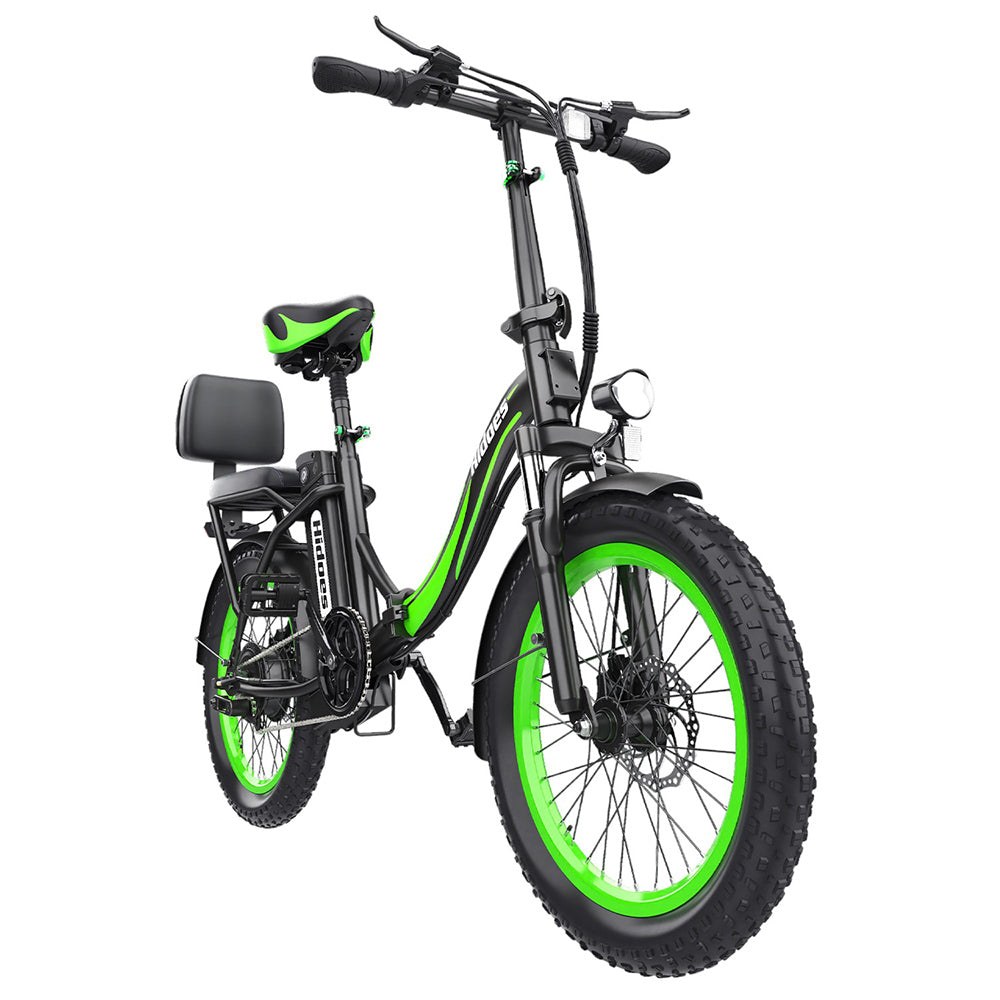 Hidoes C1 Electric Bike with Rear Seat, 750W Motor, 48V 13Ah Battery, 20*3.0 inch Fat Tire, 40km/h Max Speed, 70km Range, Front & Rear Disc Brake - Green