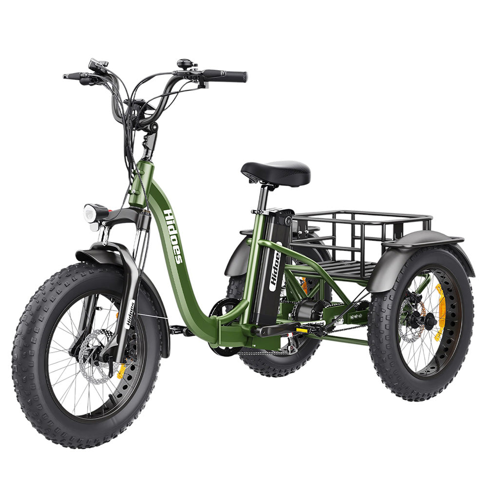 Hidoes HD-ET1 Electric Tricycle with Rear Rack 150kg Load, 750W 85NM torque Rear Drive Motor, 960Wh (48V 20Ah) Removable Battery Max 65km Range, 20*4.0-inch Tire, 3* Disc Brake, Front Lockable Suspension, 7 Gear Reverse and Park Button