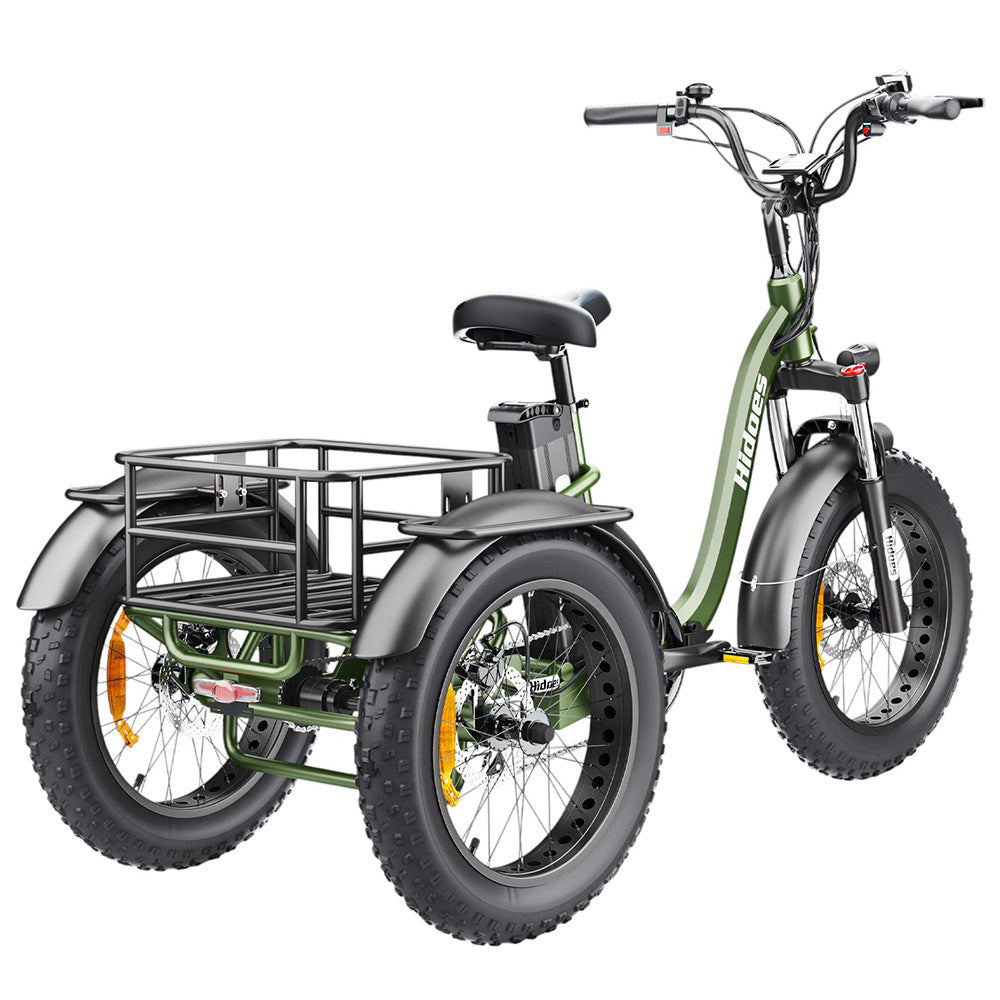 Hidoes HD-ET1 Electric Tricycle with Rear Rack 150kg Load, 750W 85NM torque Rear Drive Motor, 960Wh (48V 20Ah) Removable Battery Max 65km Range, 20*4.0-inch Tire, 3* Disc Brake, Front Lockable Suspension, 7 Gear Reverse and Park Button