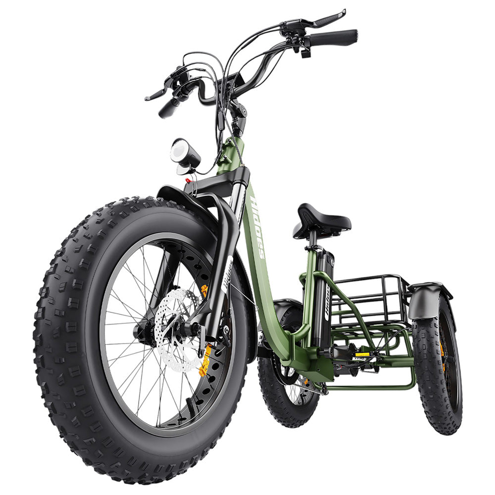 Hidoes HD-ET1 Electric Tricycle with Rear Rack 150kg Load, 750W 85NM torque Rear Drive Motor, 960Wh (48V 20Ah) Removable Battery Max 65km Range, 20*4.0-inch Tire, 3* Disc Brake, Front Lockable Suspension, 7 Gear Reverse and Park Button