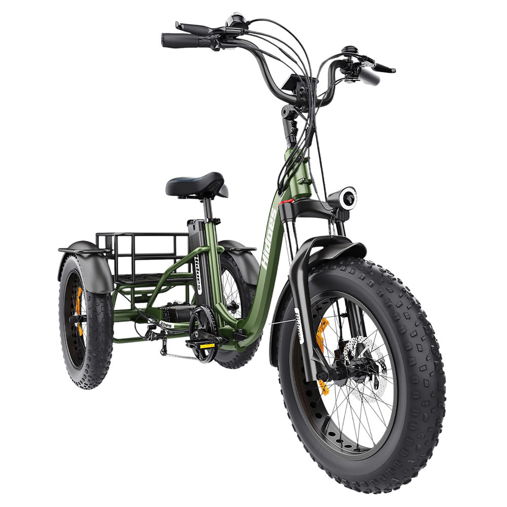 Hidoes HD-ET1 Electric Tricycle with Rear Rack 150kg Load, 750W 85NM torque Rear Drive Motor, 960Wh (48V 20Ah) Removable Battery Max 65km Range, 20*4.0-inch Tire, 3* Disc Brake, Front Lockable Suspension, 7 Gear Reverse and Park Button