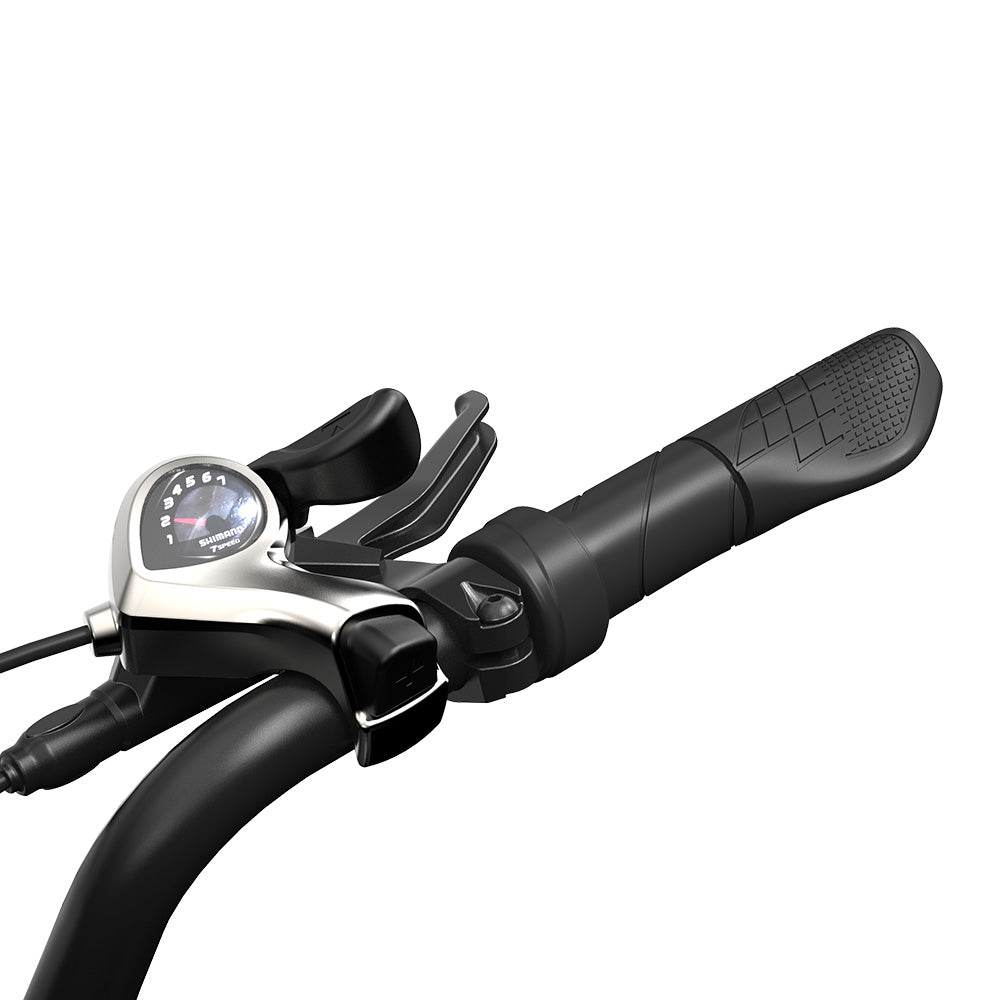 PVY LS20 Electric Bike, 250W Motor, 48V 16.5Ah Battery, 20*4.0 inch Fat Tires, 25km/h Max Speed, 100km Range, Hydraulic Brake, Lockable Shock Absorbing Fork, Shimano 7-speed, LCD Display - Grey