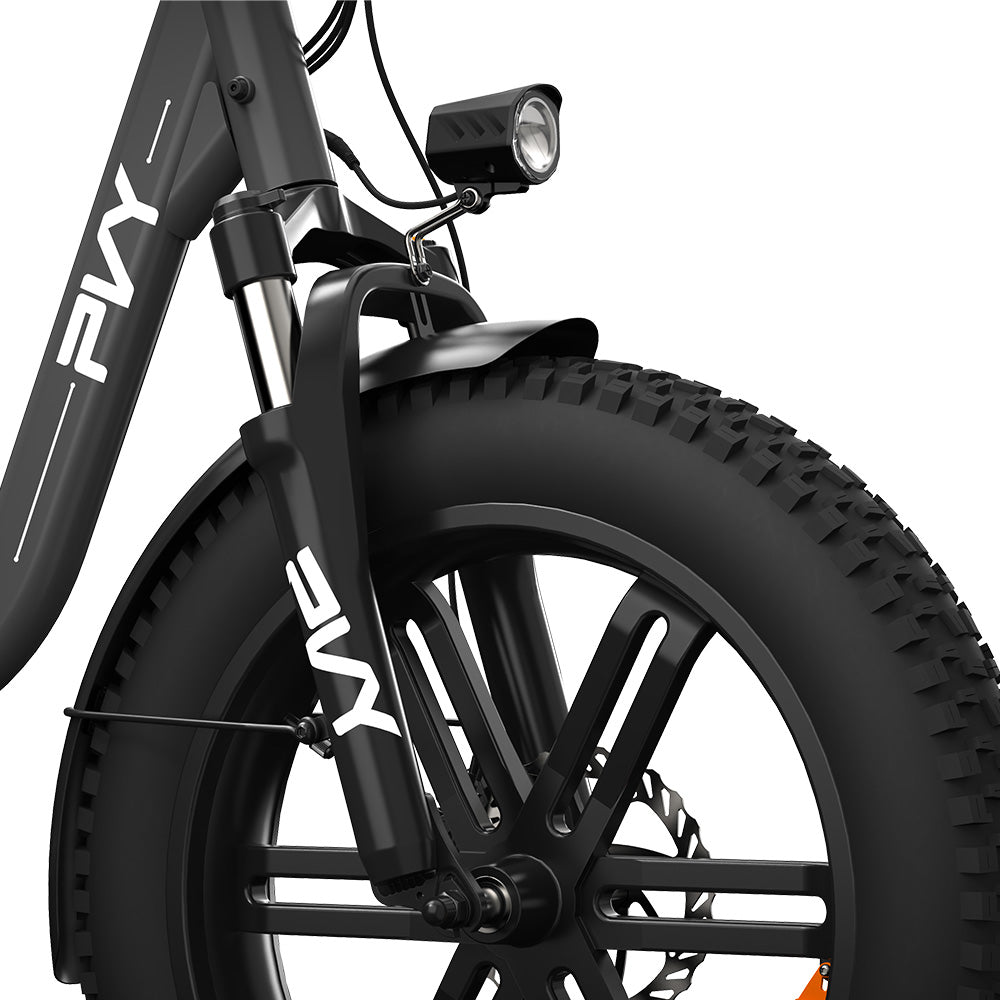 PVY LS20 Electric Bike, 250W Motor, 48V 16.5Ah Battery, 20*4.0 inch Fat Tires, 25km/h Max Speed, 100km Range, Hydraulic Brake, Lockable Shock Absorbing Fork, Shimano 7-speed, LCD Display - Grey