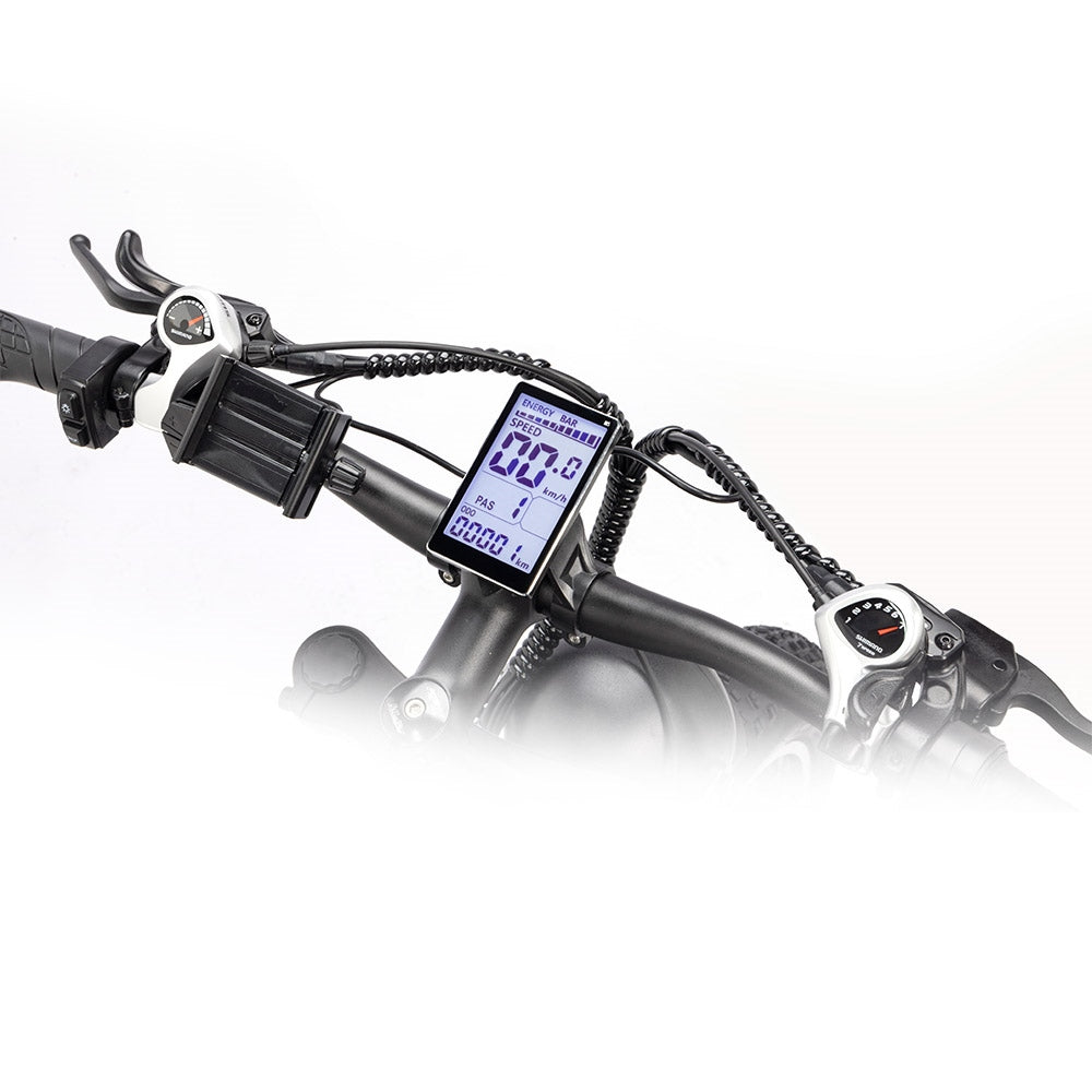 Ridstar H26 Pro Electric Bike, 26*4.0 inch All-terrain Fat Tires 1000W Motor 48V 23Ah Battery 58km/h Max Speed 120km Max Range Oil Brake