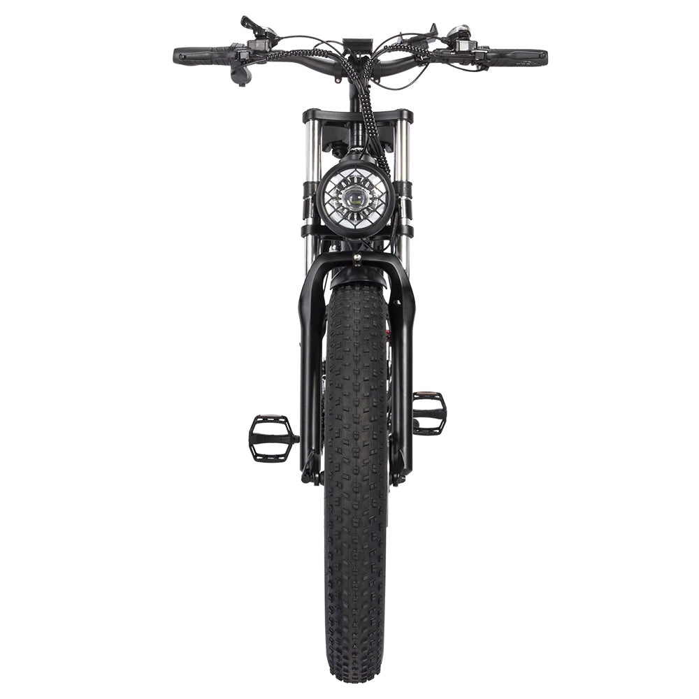 Ridstar H26 Pro Electric Bike, 26*4.0 inch All-terrain Fat Tires 1000W Motor 48V 23Ah Battery 58km/h Max Speed 120km Max Range Oil Brake
