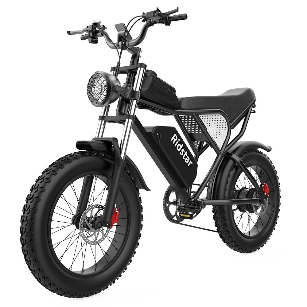 Ridstar Q20 Electric Bike, 1000W Brushless Motor 20*4.0 inch Fat Tires 48V 20Ah Removable Battery 48km/h Max Speed 150kg Max Load 120km Max Range Hydraulic Disc Brake