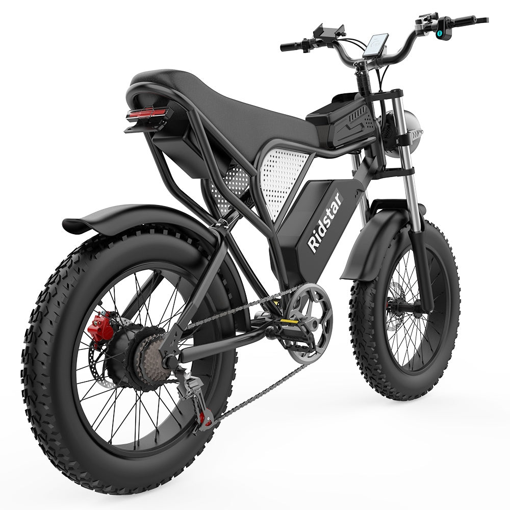 Ridstar Q20 Electric Bike, 1000W Brushless Motor 20*4.0 inch Fat Tires 48V 20Ah Removable Battery 48km/h Max Speed 150kg Max Load 120km Max Range Hydraulic Disc Brake
