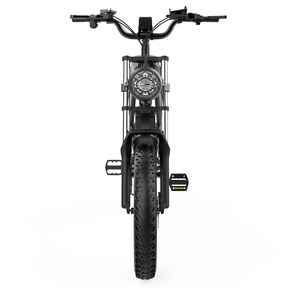 Ridstar Q20 Electric Bike, 1000W Brushless Motor 20*4.0 inch Fat Tires 48V 20Ah Removable Battery 48km/h Max Speed 150kg Max Load 120km Max Range Hydraulic Disc Brake