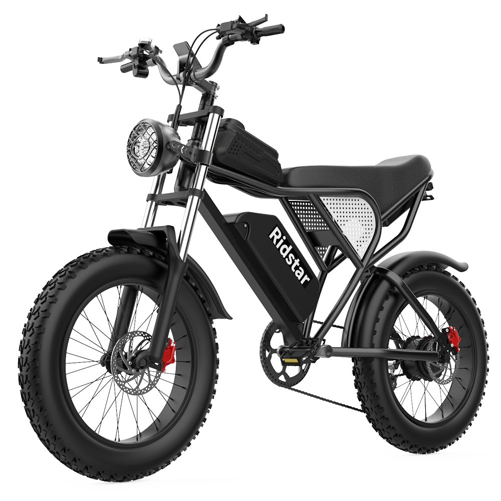 Ridstar Q20 Electric Bike, 1000W Brushless Motor 20*4.0 inch Fat Tires 48V 20Ah Removable Battery 48km/h Max Speed 150kg Max Load 120km Max Range Hydraulic Disc Brake