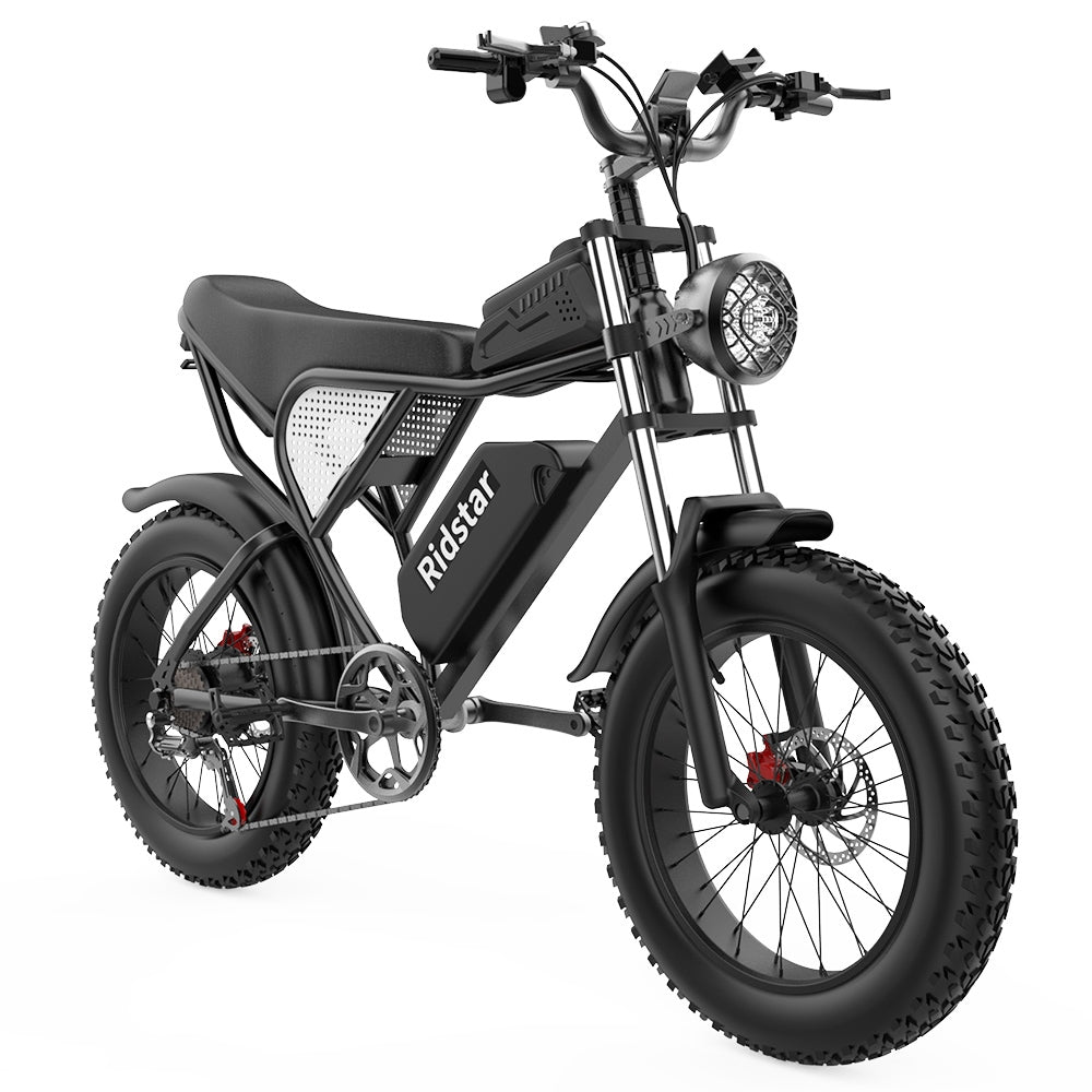 Ridstar Q20 Electric Bike, 1000W Brushless Motor 20*4.0 inch Fat Tires 48V 20Ah Removable Battery 48km/h Max Speed 150kg Max Load 120km Max Range Hydraulic Disc Brake