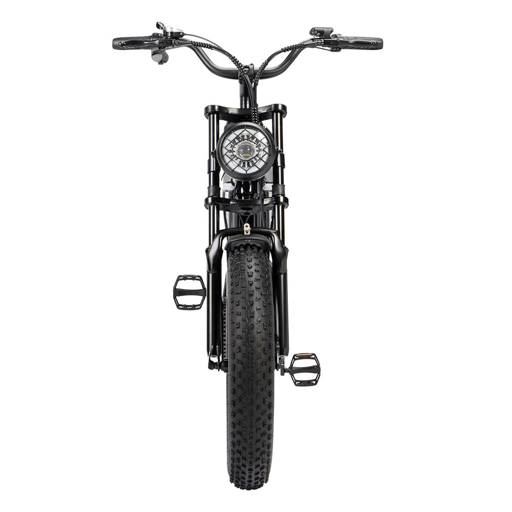 Ridstar Q20 Mini Electric Bike, 1000W Motor, 48V 15AH Battery, 20*4.0 inch Fat Tires, 40km/h Max Speed, 80km Range, Front Suspension Fork, Mechanical Disc Brakes