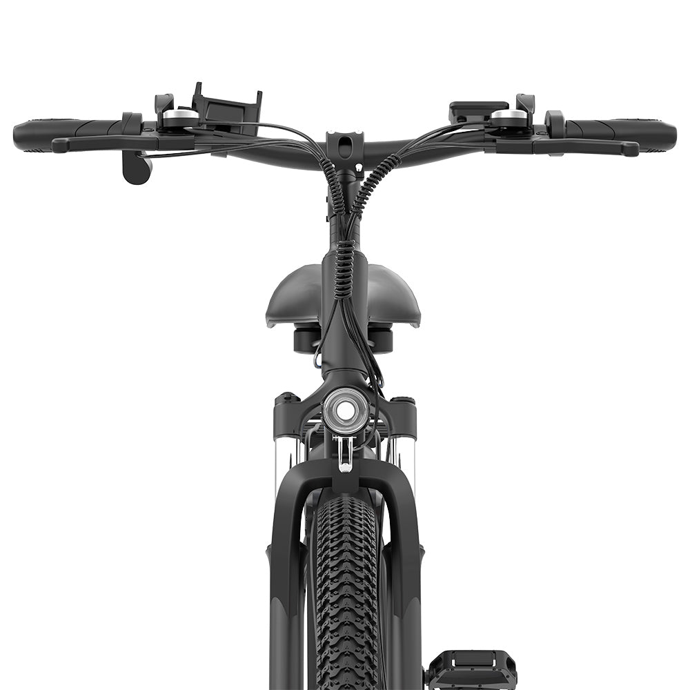 Ridstar S29 Pro Electric Bike, 1000W Motor, 48V 15.6AH Battery, 29*2.1-inch Tires, 25km/h Max Speed, 60km Range, Mechanical Disc Brake, Front Shock Absorption, Shimano 21-speed
