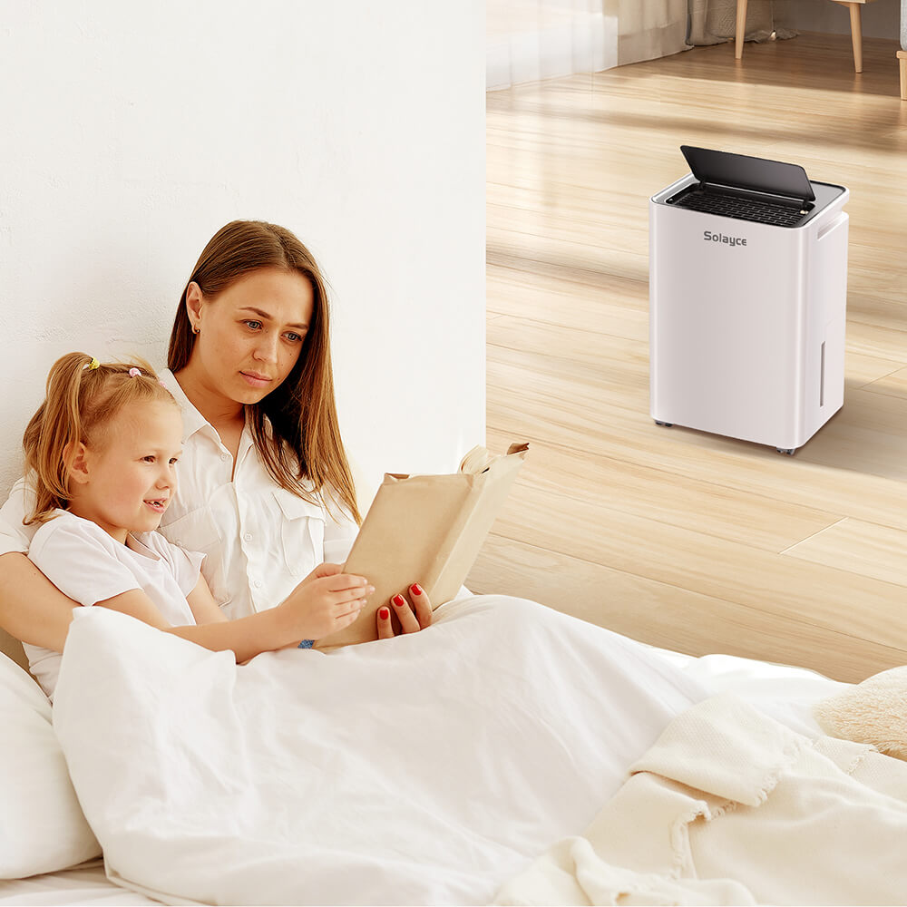Solayce PD12R-02EE Dehumidifier 12L/24h, 3.2L Large Water Tank, Digital Humidity Display, Coverage Area 35㎡(376 sq. ft), 24H Timer, Ideal for Laundry Drying, Bedroom, Basement, Garage & Kitchen