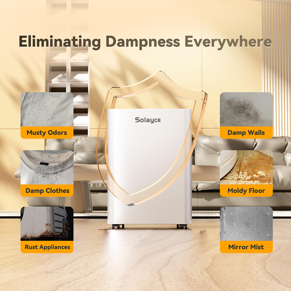 Solayce PD16R-02EE Dehumidifier 16L/24h, 3.2L Large Water Tank, Digital Humidity Display, Coverage Area 50㎡(538 sq. ft), 24H Timer, Ideal for Laundry Drying, Bedroom, Basement, Garage & Kitchen