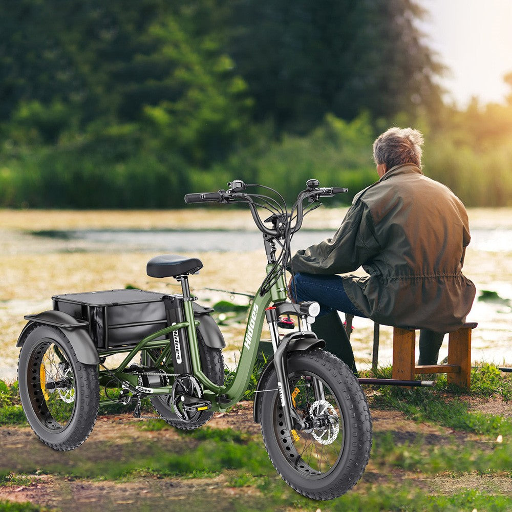 Hidoes HD-ET1 Electric Tricycle with Rear Rack 150kg Load, 750W 85NM torque Rear Drive Motor, 960Wh (48V 20Ah) Removable Battery Max 65km Range, 20*4.0-inch Tire, 3* Disc Brake, Front Lockable Suspension, 7 Gear Reverse and Park Button