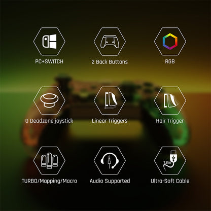 BIGBIG WON Rainbow Lite Wired Game Controller, RGB Light, Custom Buttons, Compatible with Switch / Windows 10 &amp; 11 PC