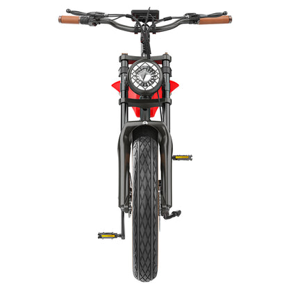 Hidoes B10 Electric Bike, 1000W Motor, 48V 13Ah Battery, 20 x4.0 inch Fat Tire, 45km/h Max Speed, 60km Range, Dual Mechanical Disc Brakes, Hydraulic Front Fork