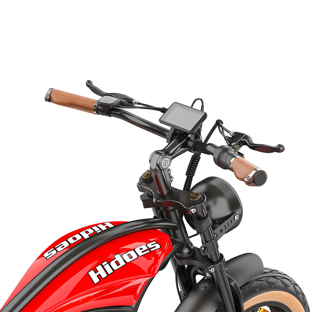 Hidoes B10 Electric Bike, 1000W Motor, 48V 13Ah Battery, 20 x4.0 inch Fat Tire, 45km/h Max Speed, 60km Range, Dual Mechanical Disc Brakes, Hydraulic Front Fork