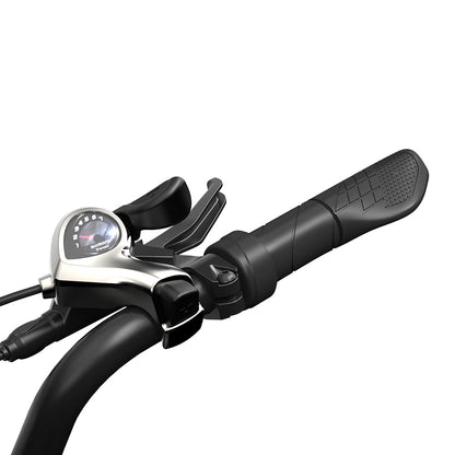 PVY LS20 Electric Bike, 250W Motor, 48V 16.5Ah Battery, 20*4.0 inch Fat Tires, 25km/h Max Speed, 100km Range, Hydraulic Brake, Lockable Shock Absorbing Fork, Shimano 7-speed, LCD Display - Grey