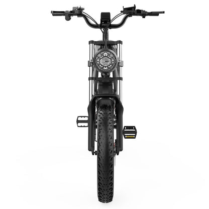 Ridstar Q20 Electric Bike, 1000W Brushless Motor 20*4.0 inch Fat Tires 48V 20Ah Removable Battery 48km/h Max Speed 150kg Max Load 120km Max Range Hydraulic Disc Brake