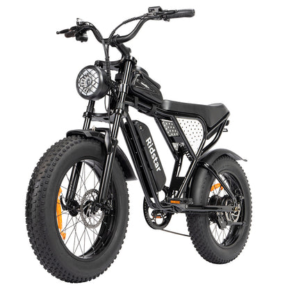 Ridstar Q20 Mini Electric Bike, 1000W Motor, 48V 15AH Battery, 20*4.0 inch Fat Tires, 40km/h Max Speed, 80km Range, Front Suspension Fork, Mechanical Disc Brakes