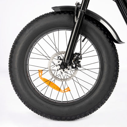 Ridstar Q20 Mini Electric Bike, 1000W Motor, 48V 15AH Battery, 20*4.0 inch Fat Tires, 40km/h Max Speed, 80km Range, Front Suspension Fork, Mechanical Disc Brakes