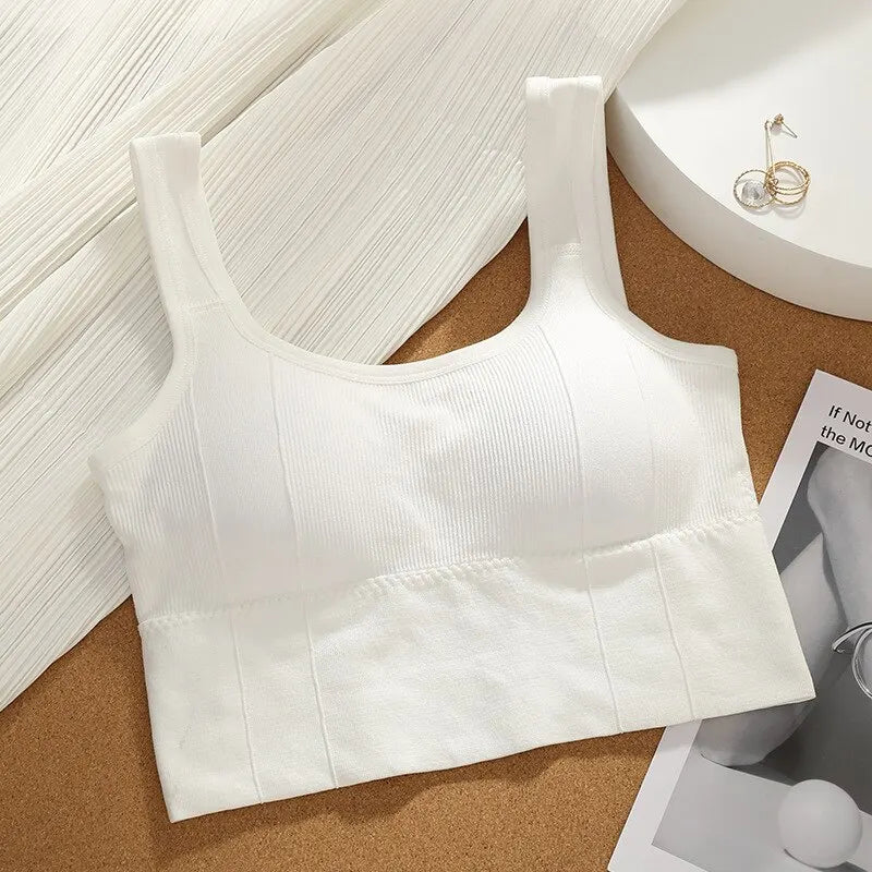 Priedušná športová podprsenka proti potu Fitness top Ženy Bezšvová podprsenka na jogu Nárazuvzdorná Crop Top Športová podprsenka Push Up Top Telocvičňa