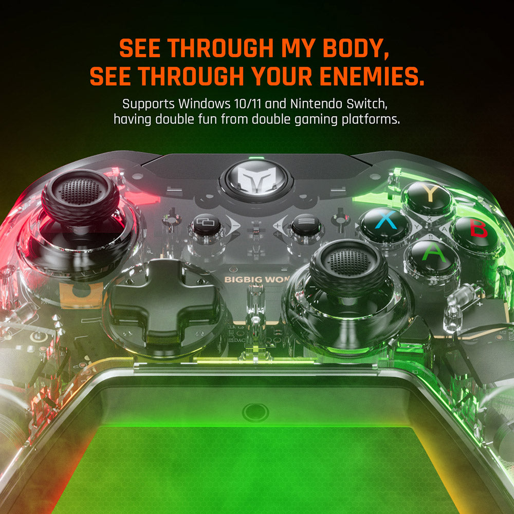 BIGBIG WON Rainbow Lite Wired Game Controller, RGB podsvietenie, tlačidlá na mieru, kompatibilný s konzolou Switch / PC s Windows 10 a 11