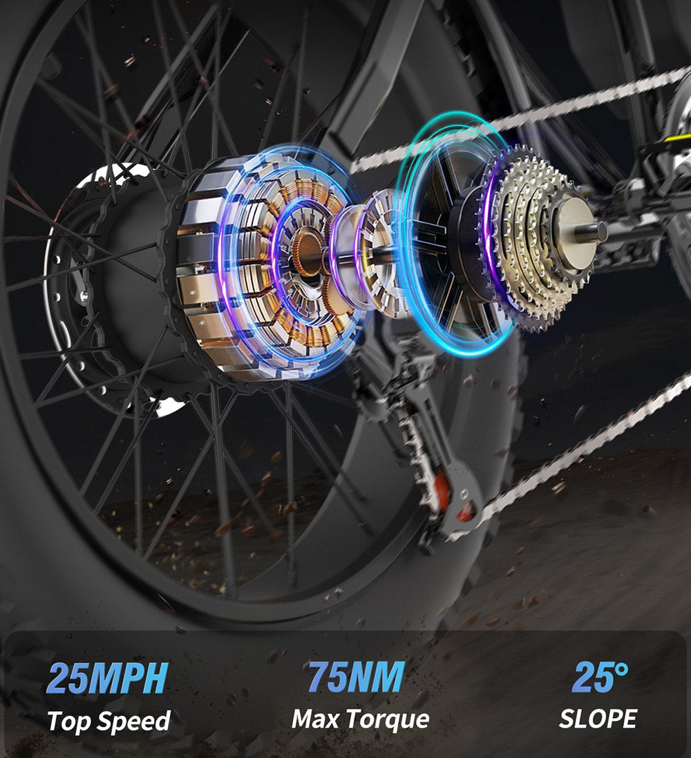 Ridstar Q20 Mini Elektrokolo, 1000W Motor, 48V 15AH Batéria, 20*4.0 palcové široké pneumatiky, 40km/h Maximálna rýchlosť, 80km Dojazd, Predná vidlica s odpružením, Mechanické kotúčové brzdy