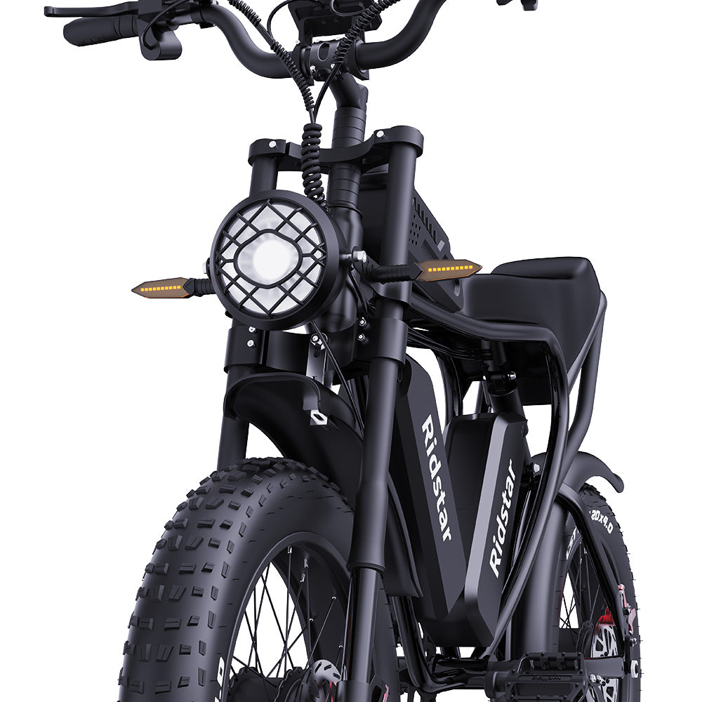 Ridstar Q20 Pro Off-road Electric Bike, 20*4.0 inch Fat Tires 1000W*2 Motor 52V 20AH Dual Battery 55km/h Max Speed 288km Max Range 150kg Max Load IP65 Waterproof Dual Hydraulic Disc Brake