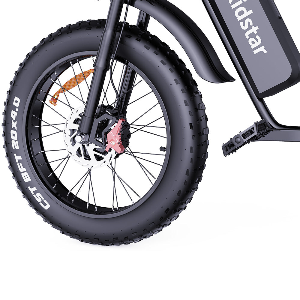 Ridstar Q20 Pro Off-road Electric Bike, 20*4.0 inch Fat Tires 1000W*2 Motor 52V 20AH Dual Battery 55km/h Max Speed 288km Max Range 150kg Max Load IP65 Waterproof Dual Hydraulic Disc Brake