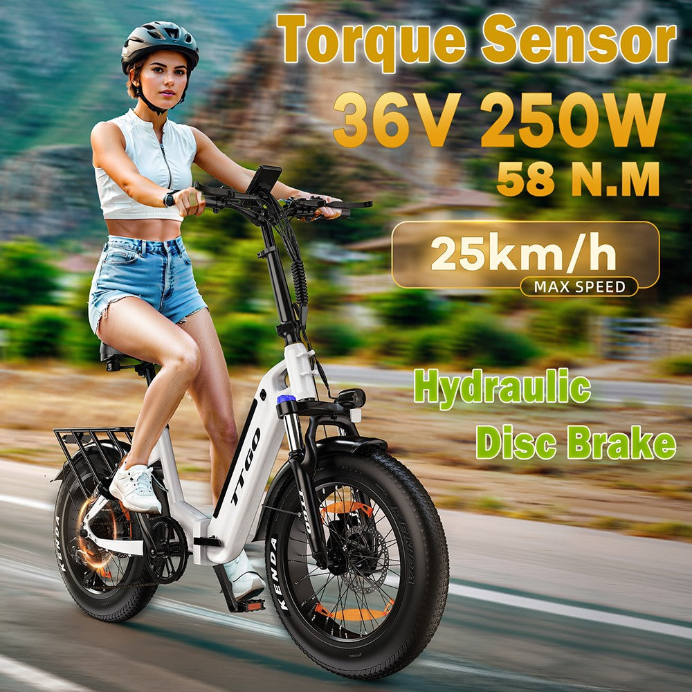 Elektrokol TTGO F6, 250W motor, 36V 25Ah batéria, 20*4 palcové pneumatiky, max. rýchlosť 25 km/h, max. dojazd 100 km, hydraulické kotúčové brzdy, predný tlmič, snímač krútiaceho momentu, 7-stupňová prevodovka Shimano, LCD displej - biela